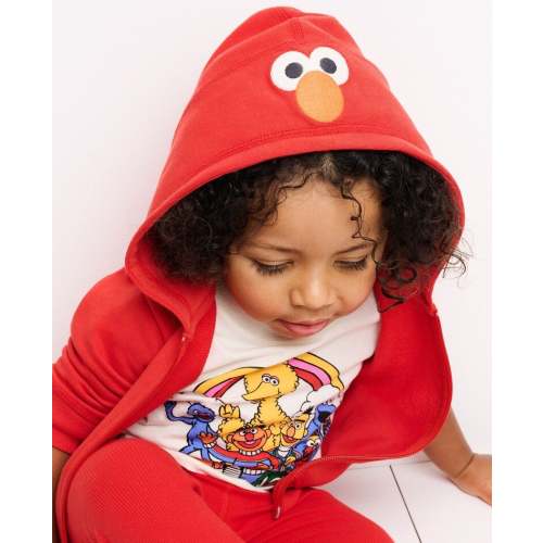Sesame Street French Terry Character Hoodie | Hanna Andersson