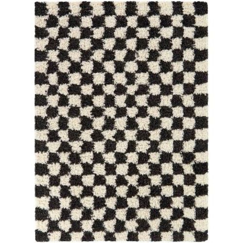 Balta Rugs 5'3"x7' Mackie Checkered Teen Shag Rug Black: Geometric High Pile Indoor Area Rug, Machine Made, 5'3"x7'