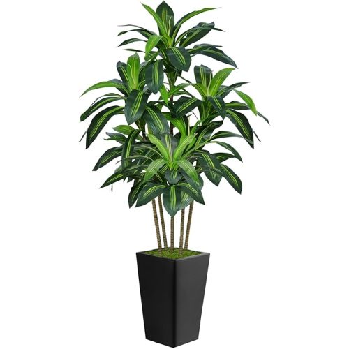 6FT Artificial Dracaena Tree, Fake Tree Indoor with Black Tall Planter,Tall Artificial Plants Indoor,Artificial Silk Tree for Home Office Decor (Black)