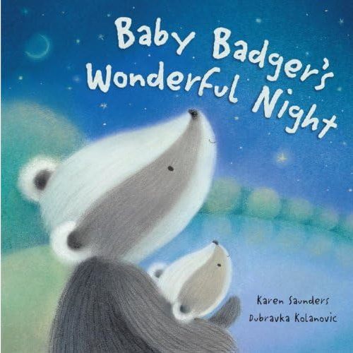 Baby Badger's Wonderful Night Hardcover – May 10, 2011