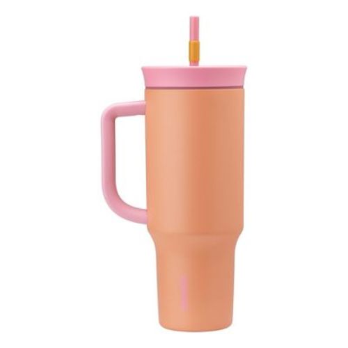 Owala 40oz Stainless Steel Tumbler With Straw - Hip Cactus