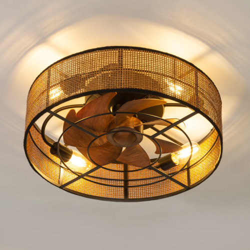 Williston Forge Kedran 19" Enclosed Low Profile Ceiling Fan with Lights and Remote Control & Reviews | Wayfair