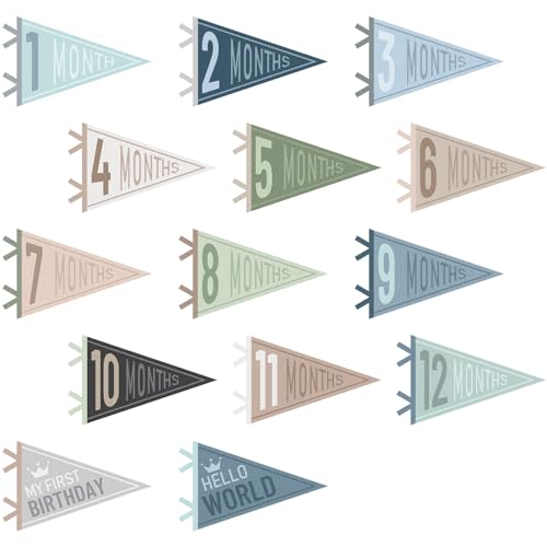 VitalCozy 14 Pcs Baby Felt Pennant Milestone Signs Monthly Milestone Banner Flags Pennant Triangle Banner Age Milestone Flag Signs for Boy Girl Newborn Birthday Party Decor (Ocean Color)
