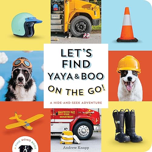 Let's Find Yaya and Boo on the Go!: A Hide-and-Seek Adventure (Find Momo) Board book – September 16, 2025