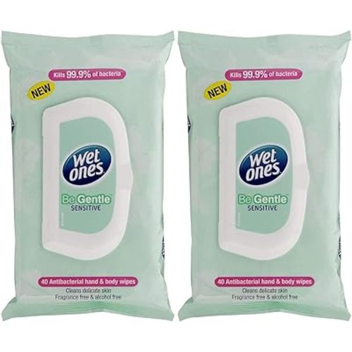 Wet Ones Wipes, On The Go, Antibacterial Original, 40 Wipes with Lid for Freshness, Pack of 2 (Gentle)