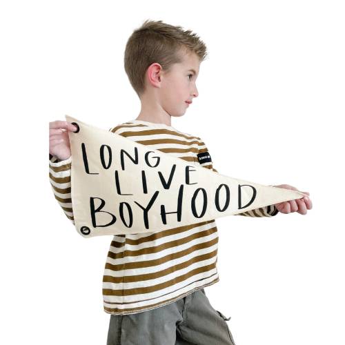Long Live Boyhood Pennant Flag