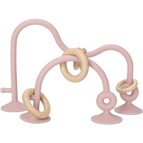 Socub Silicone Baby Sensory Toys, Montessori Educational Toys for Baby 6 12 18 Months, Parent-Child Toys with Suction Cup,2 Pack(Rose Pink)