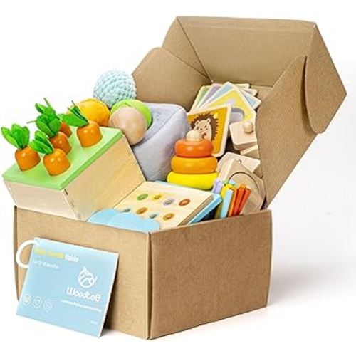 Montessori Toys Set for Babies 13-15 Months, 5 in 1 Wooden Learning Educational Toys with Montessori Sticks, Object Permanence Box, Textured Sensory Ball, Wooden Pattern Book and More