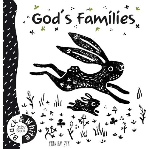God's Families (Black & White Baby Book) Board book – Illustrated, January 23, 2018