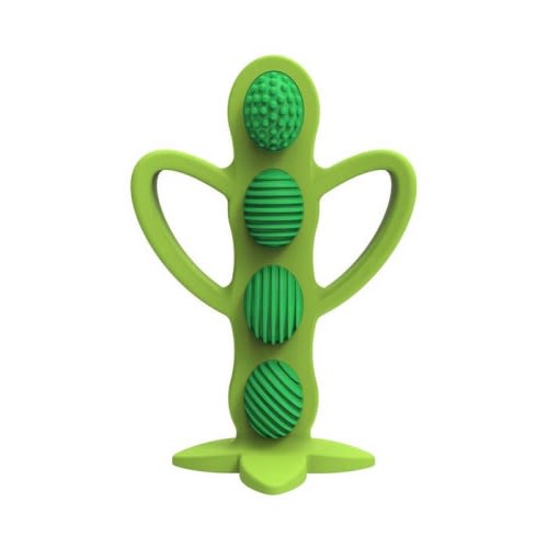 Teether + Training Toothbrush