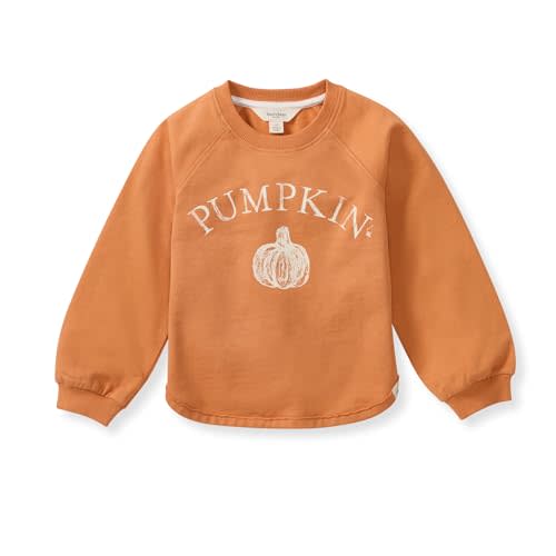 Burt's Bees Baby baby-girls Sweatshirt, Lightweight Pull Over Sweater, Organic Cotton Layering Essential