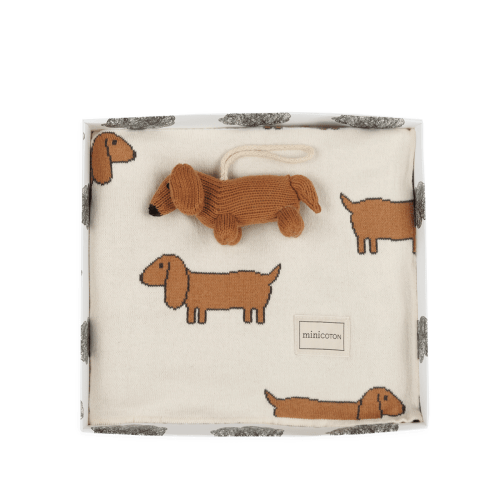 Gift Box #5 Knitted Blanket & Toy