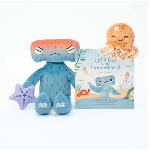 Flip Out Hammerhead: Emotional Regulation Set