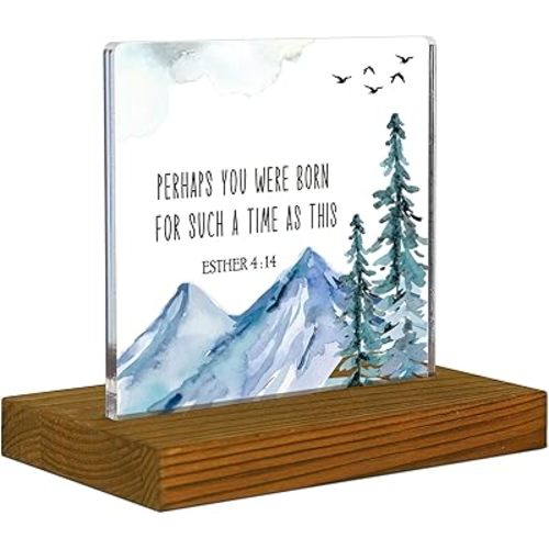 Esther 4:14 Sign, Perhaps You Were Born for Such A Time As This Bible Verse Sign, Christian Office Nursery Farmhouse Scripture Plaque, Acrylic Desk Decor Sign with Wood Stand - FSA079