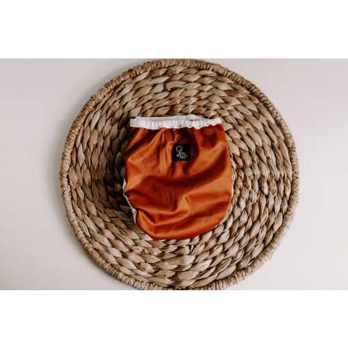 Dino Diapers Rust Newborn Reusable Cloth Diaper Cover*