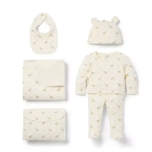 Newborn Jet Ivory Dinosaur Heart Baby Bundle of Love Valentine Gift Set by Janie and Jack