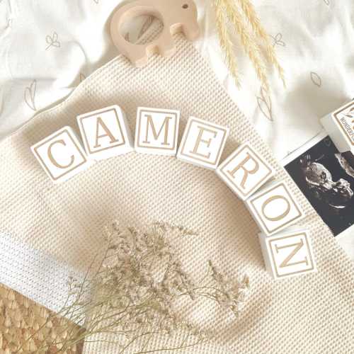 Baby Name Announcement, Birth Stats Personalized Baby Blocks, Nursery Bookshelf décor, New Baby Gift, Pregnancy announcement, Baby Shower