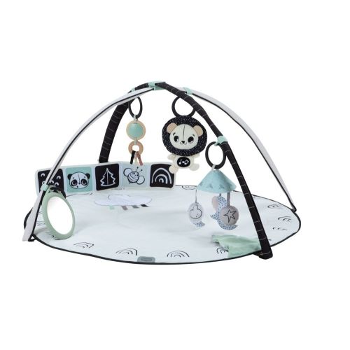 Tiny Love Black & White Decor Hooped Gymini