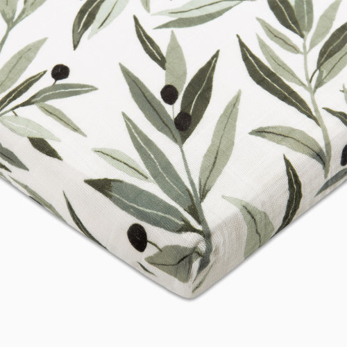 babyletto All-Stages Midi Crib Sheet - Olive Branches
