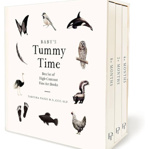 Baby's Tummy Time Book Box Set: A 3-Book Box Set of High-Contrast Art for Visual Stimulation at Tummy Time (Our Little Adventures Series)