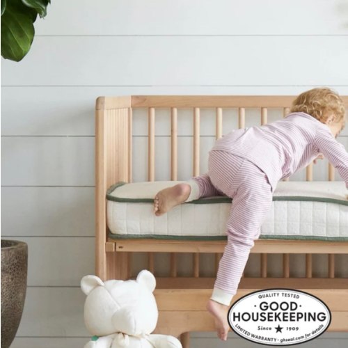 Best Affordable & Organic Crib Mattress | Avocado Green Mattress