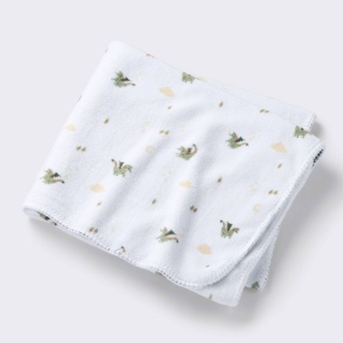 Plush Baby Blanket - Dragons - Cloud Island™