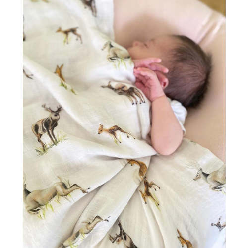 Little Fawn, Big Yawn