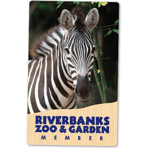 Family Membership: Riverbanks Zoo & Garden