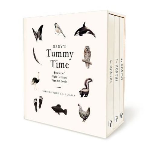 Baby's Tummy Time Book Box Set - (our Little Adventures) By Tabitha Paige (mixed Media Product)