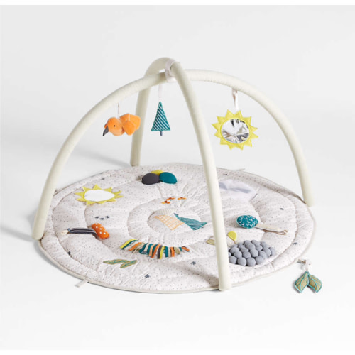 Busy Baby Activity Gym Play Mat