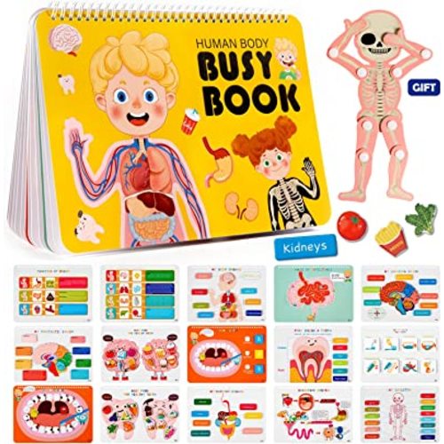 Freebear Montessori Busy Book for Kids, Human Body Anatomy Book for Toddlers, Preshool Kindergarten Learning Activities, Autism Sensory Toys, Travel Toys, Gifts for Girls and Boys 4 5 6 7 8 Years