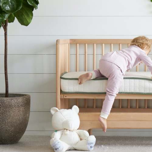 Avocado Organic Infant + Toddler Crib Mattress