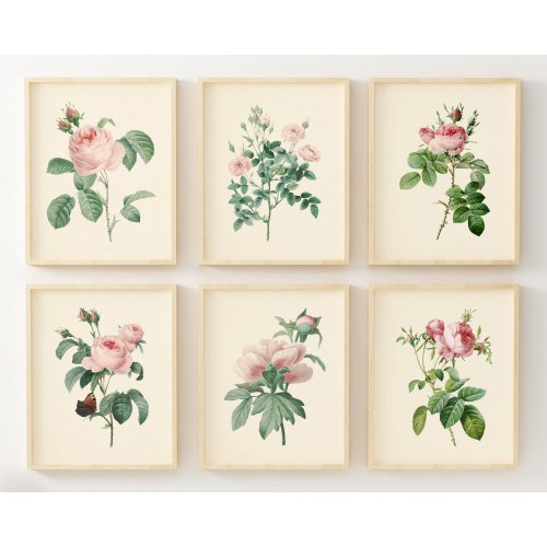 Vintage Pink Roses Wall Art Prints - Set of 6 - Botanical Prints - Floral Wall Art Decor - Vintage Art - Pink Flowers Pictures - Unframed