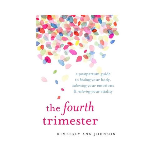 The Fourth Trimester - By Kimberly Ann Johnson (paperback)