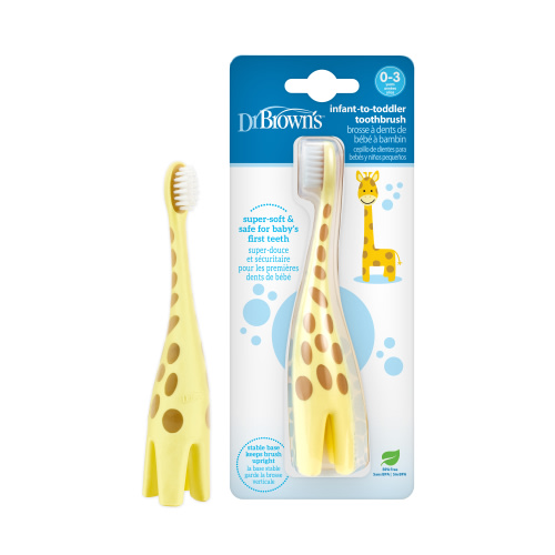 Dr. Brown's Training Toothbrush