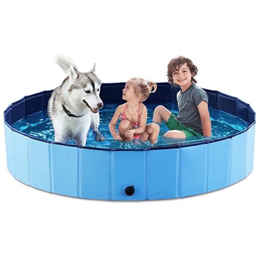 Jasonwell Foldable Dog Pet Bath Pool Collapsible Dog Pet Pool Bathing Tub Kiddie Pool for Dogs Cats and Kids - XX-Large - 63"