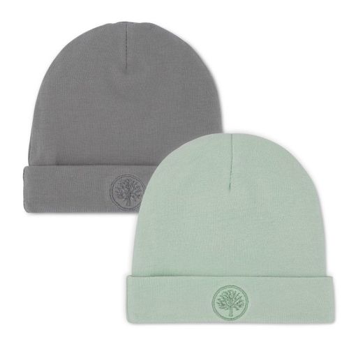 Parker Baby Co. 2 Pack Baby Beanie - Sage/pewter