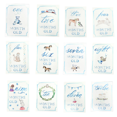 Monthly Milestone Card Set - Blue