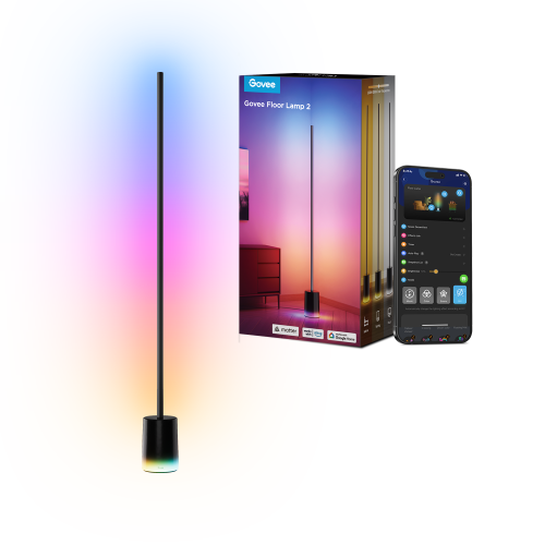 Govee Floor Lamp 2