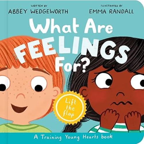 What Are Feelings For? Board Book: A Lift-the-Flap Board Book (Christian behavior book for toddlers encouraging emotional health and resilience.)