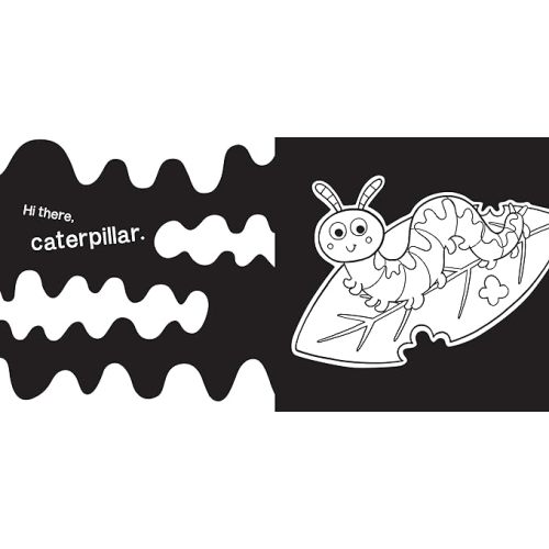 Hello, Garden Bugs: A High-Contrast Board Book that Helps Visual Development in Newborns and Babies (High-Contrast Books)