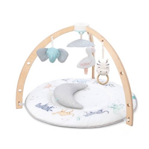 aden + anais Play+Discover Activity Gym