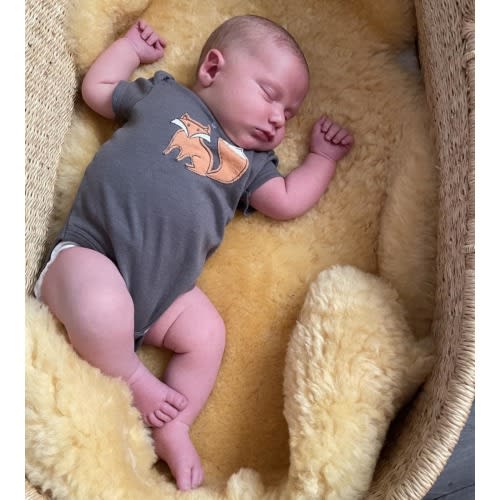 Hypoallergenic Nursery Sheepskin for your Baby and Kids, Genuine &quot;Baby Safe&quot; Sheepskin for Babies and Infants, Medical Nursery Sheepskin