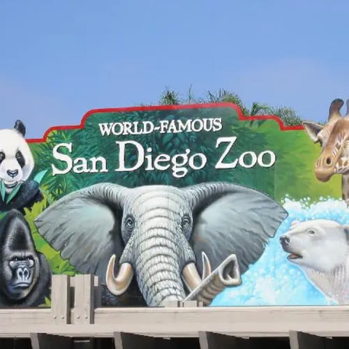 San Diego Zoo Adult Membership