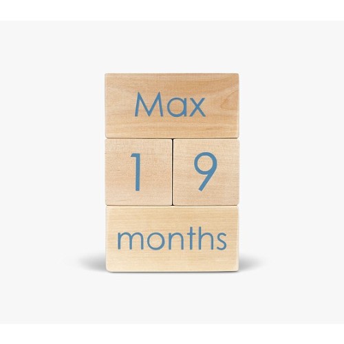 Modern Blocks Milestone Block Set | Pottery Barn Kids