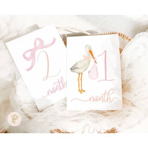 Girl Milestone Cards | Milestone cards | Stork | Baby Gift | New Mom | Baby Shower | Baby Month Cards | Memories | Children's Photo Props