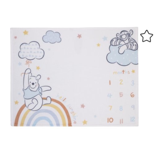 Disney Winnie The Pooh Rainbow Super Soft Milestone Baby Blanket