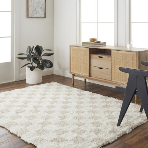 Molly Checkered Machine Woven Polypropylene Area Rug in Cream/Light Beige