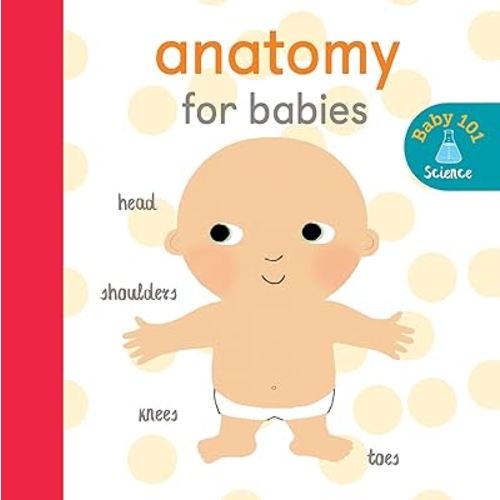 Anatomy For Babies (Baby 101)
