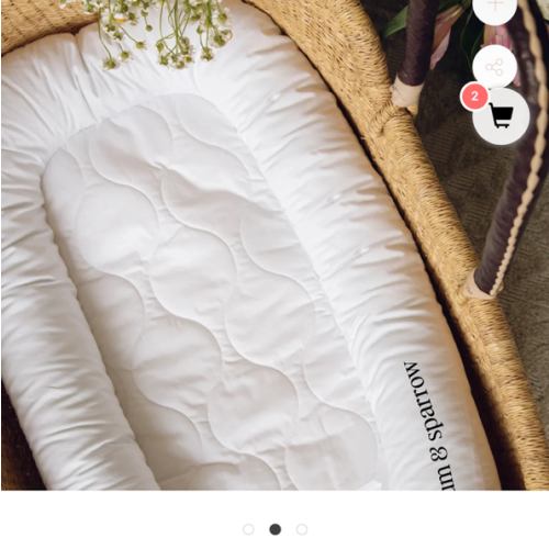 Nest Lounger